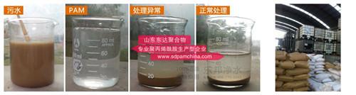 汙泥脫水用聚丙烯酰胺什麽類型