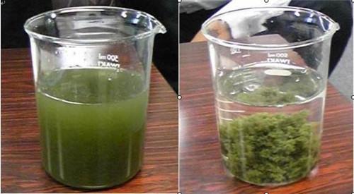 陽離子絮凝劑在城市汙水處理方麵具有三大優(you) 點