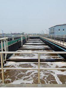 汙水脫水一般在什麽(me) 條件下可以投加藥劑，長期接觸汙水處理的人員都應該知道，每一種藥劑都有其最適宜的pH值範圍，隻有在這個(ge) 範圍內(nei) 使用時，處理效率可發揮到最大。