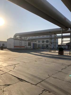 廠區內(nei) 的裝車區域展示著忙碌的裝車場景。