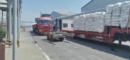 聚丙烯酰胺產(chan) 品在工廠廠區內(nei) 裝車，確保按時交付。
